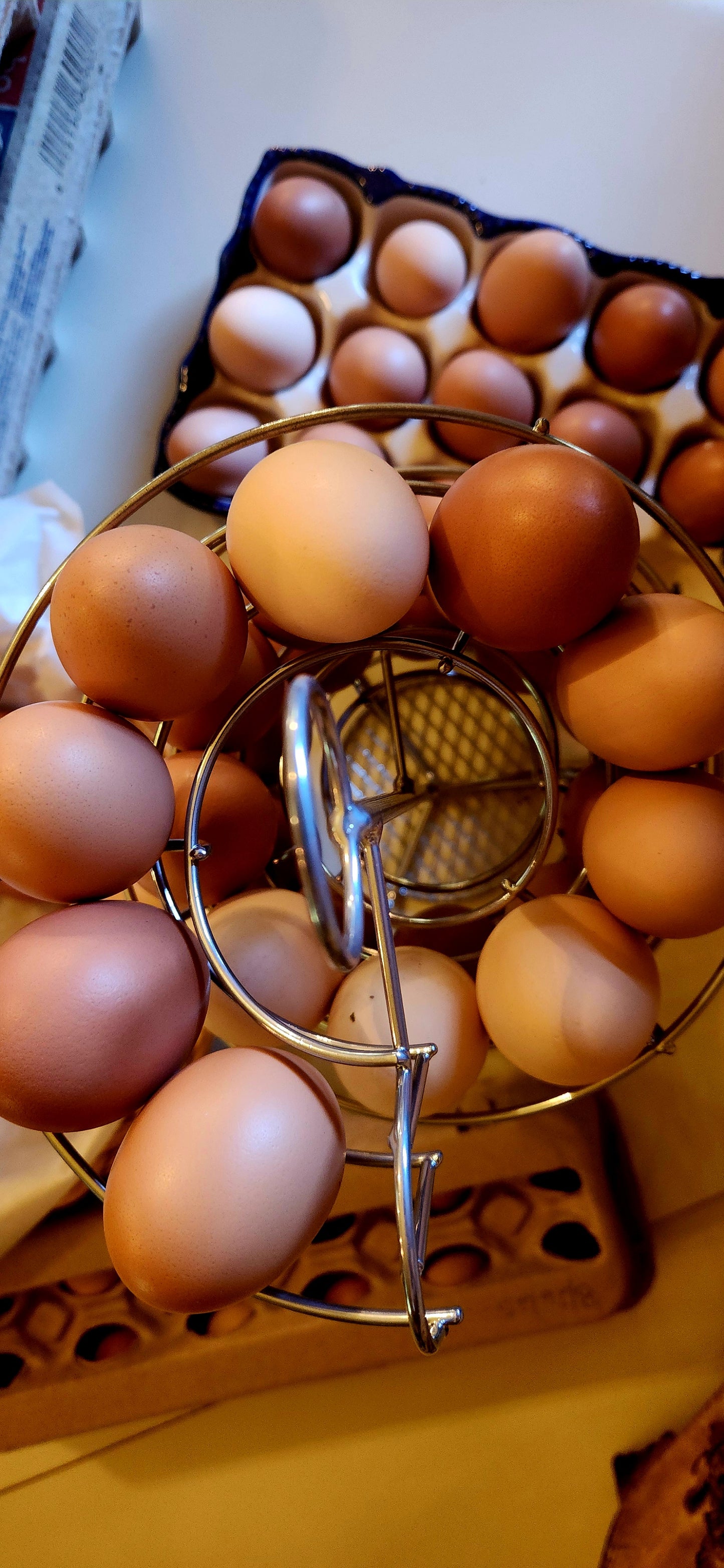 Fresh Chicken Eggs (dozen)